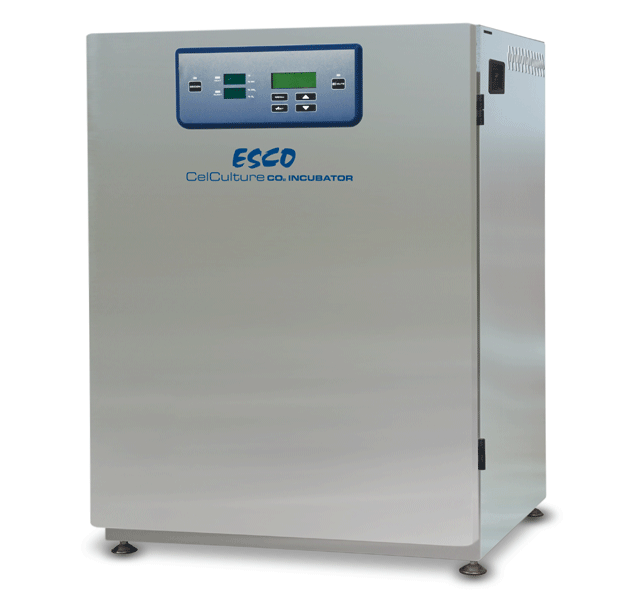 CelCulture CO2 Incubators with Stainless Steel Exterior