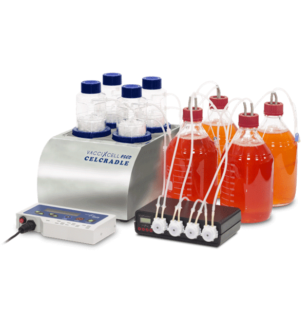 Tide Motion Bioreactor  CelCradle TM